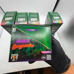 Whole Melt Phase 5 V2 Disposable